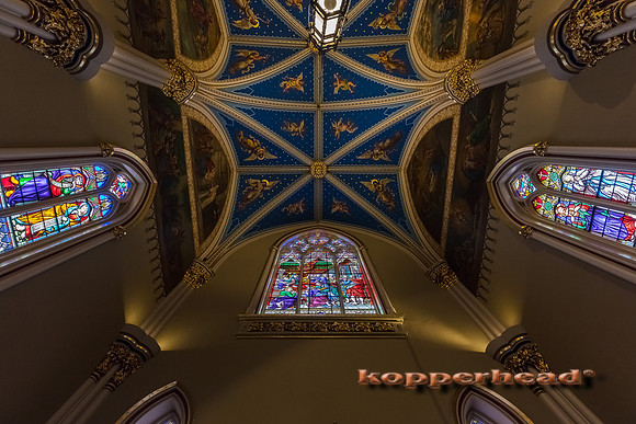 01915 01 2020 Kopperhead