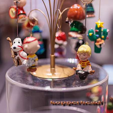 122172 01 2026 Kopperhead