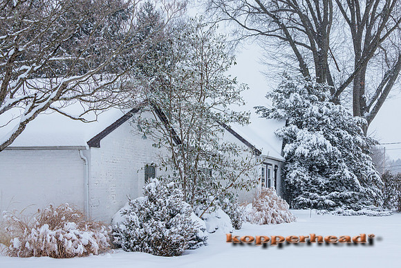 122201 01 2026 Kopperhead
