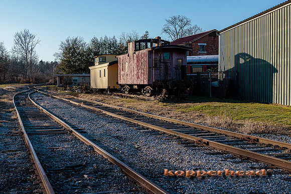 52909 12 2022 Kopperhead