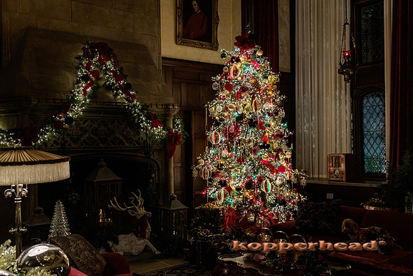 53567 12 2022 Kopperhead