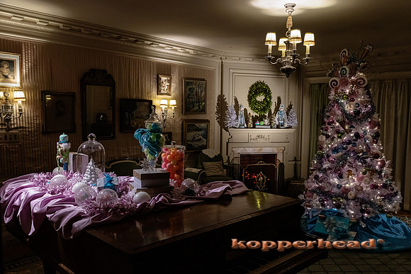 53582 12 2022 Kopperhead