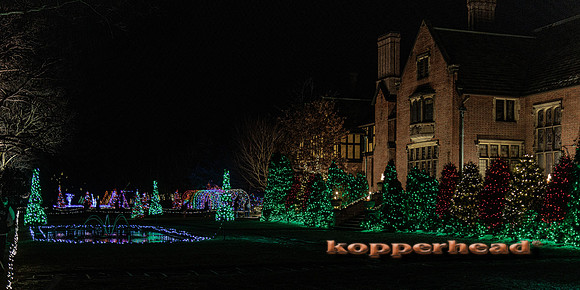 53588 12 2022 Kopperhead