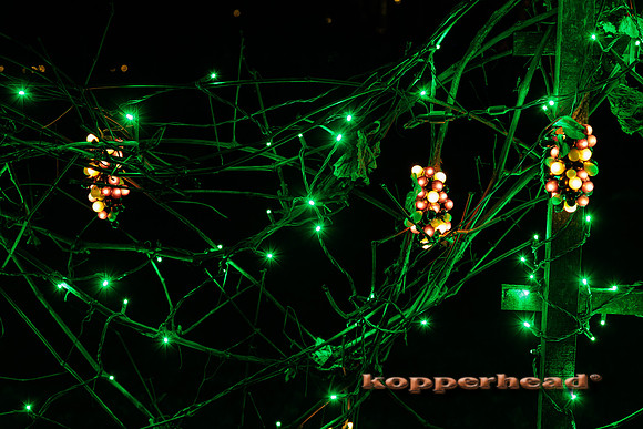 53603 12 2022 Kopperhead