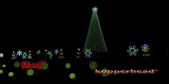 53617 12 2022 Kopperhead