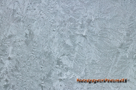 53638 12 2022 Kopperhead