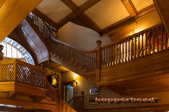 01855 01 2020 Kopperhead