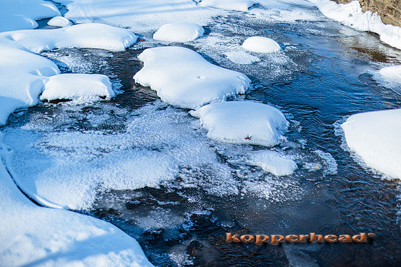 122575 02 2026 Kopperhead