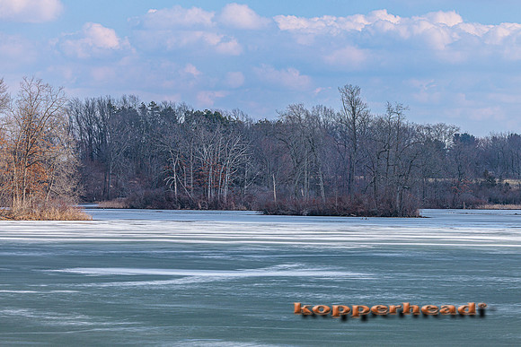 123570 02 2026 Kopperhead