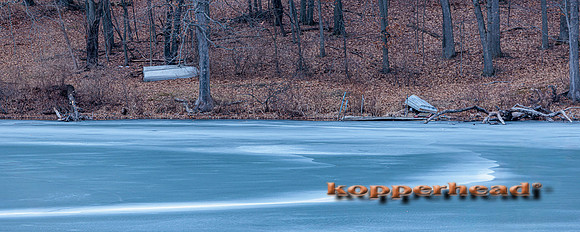 123579 02 2026 Kopperhead