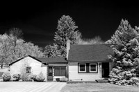 70361ir 04 2020 Kopperhead