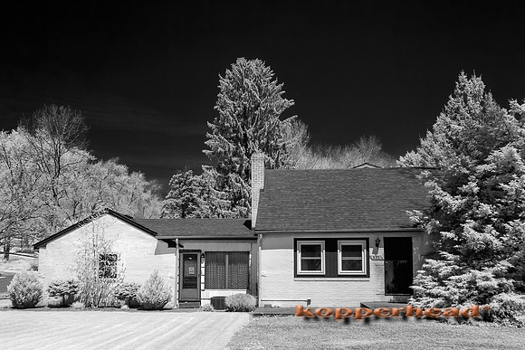 70361ir 04 2020 Kopperhead