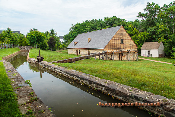 21979 06 2014 Kopperhead