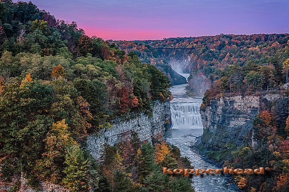 42501h 09 2015 Kopperhead
