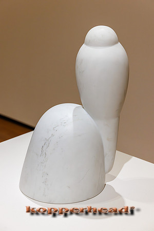 130116 06 2026 Kopperhead