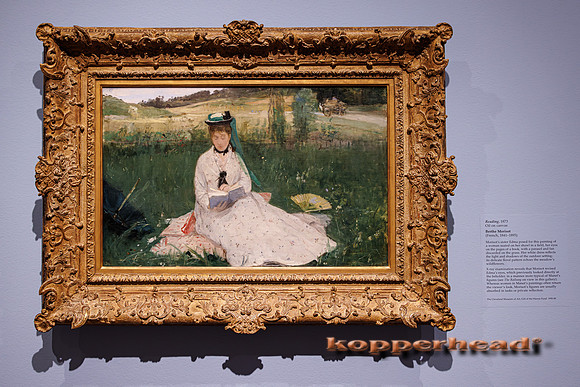 130097 06 2026 Kopperhead