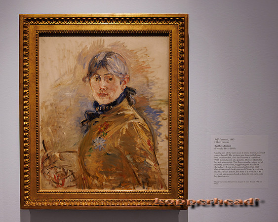 130105 06 2026 Kopperhead
