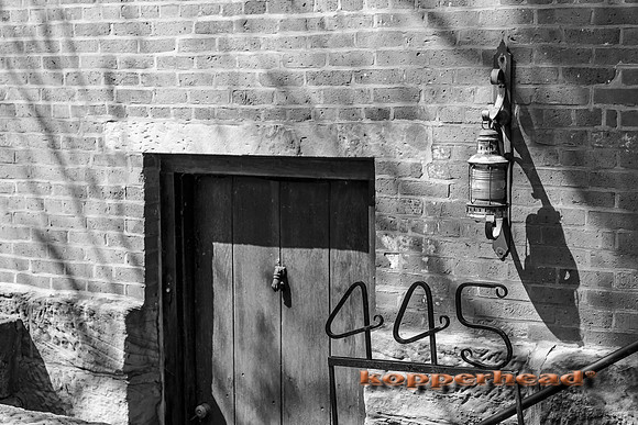 5D_00282 April 2013 Kopperhead