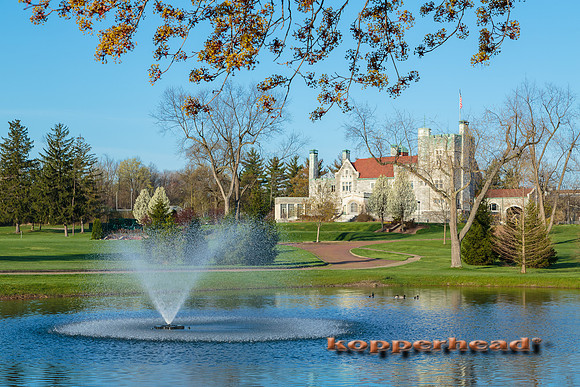 01148 04 2013 Kopperhead