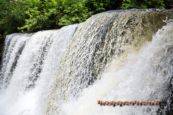 38581 07 2015 Kopperhead