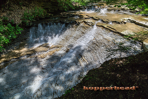 38639 07 2015 Kopperhead