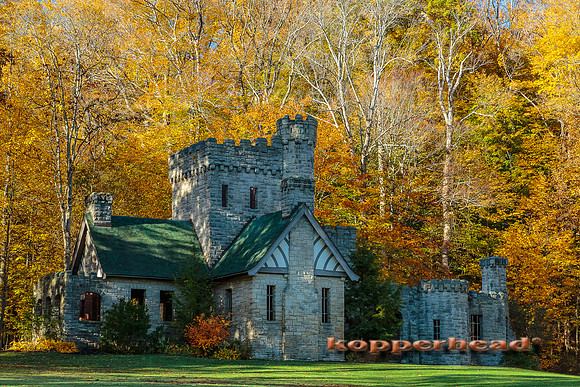 43795 10 2015 Kopperhead