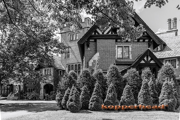 135060 09 2026 Kopperhead-2