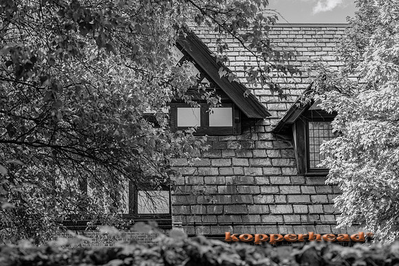 134931 09 2026 Kopperhead-2