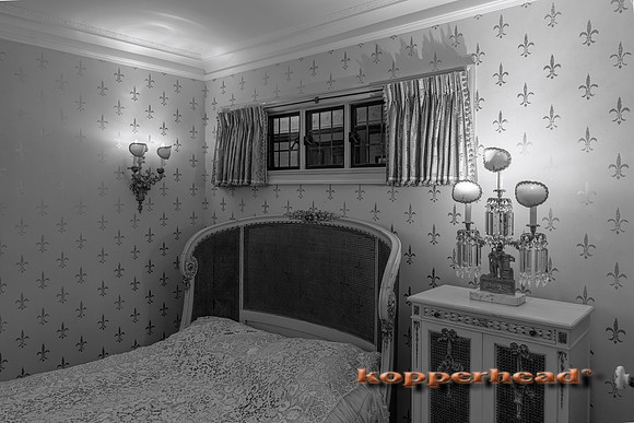 135042 09 2026 Kopperhead-2