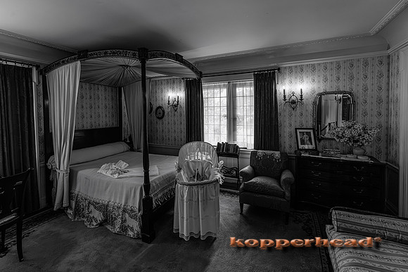 135029 09 2026 Kopperhead-2