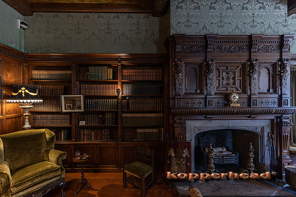 134992 09 2026 Kopperhead