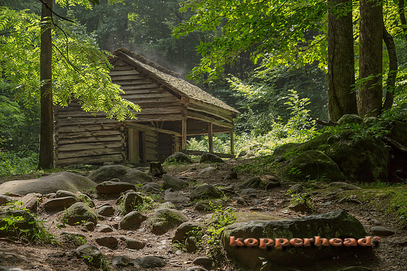 07395 07 2013 Kopperhead