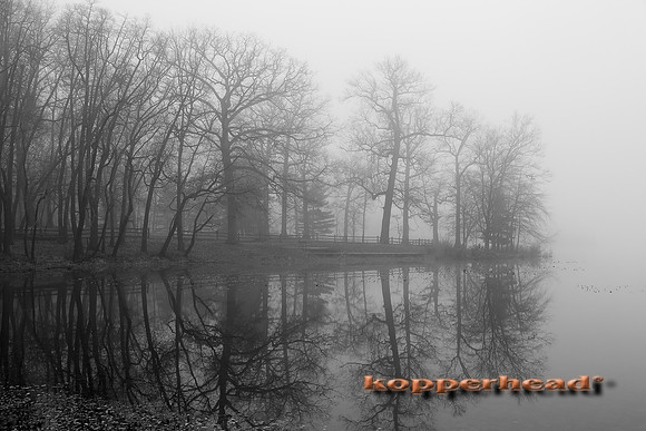 45906 12 2015 Kopperhead