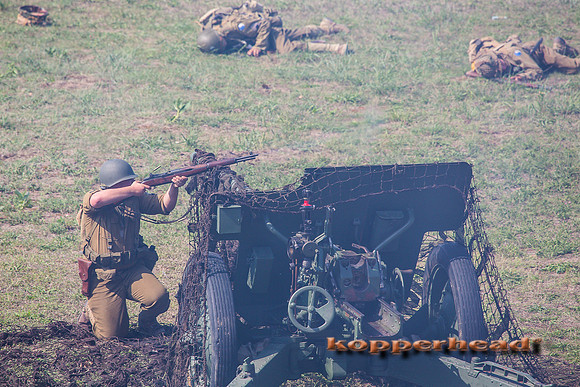 60733 08 2016 Kopperhead