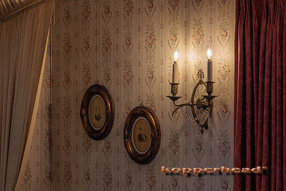 85359 05 2024 Kopperhead