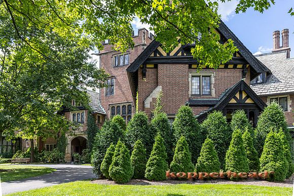 135060 09 2026 Kopperhead