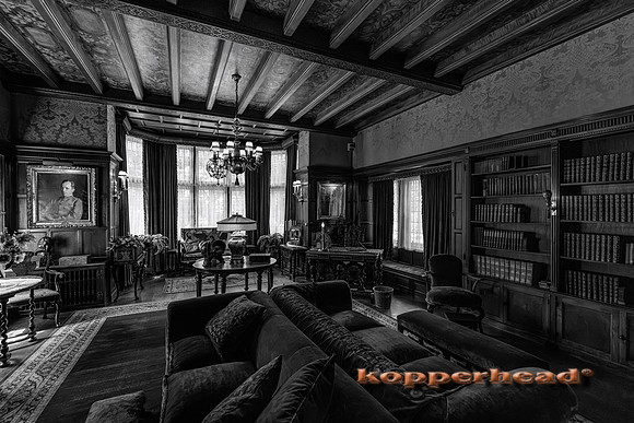 134993 09 2026 Kopperhead-2
