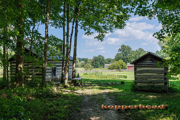 03802 PM17 08 2026 Kopperhead