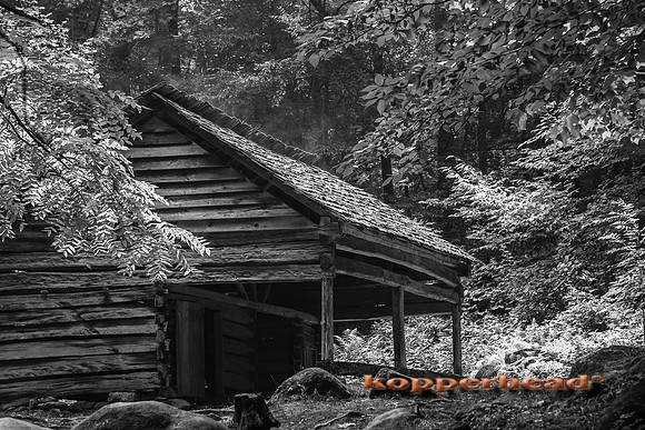 07397 07 2013 Kopperhead