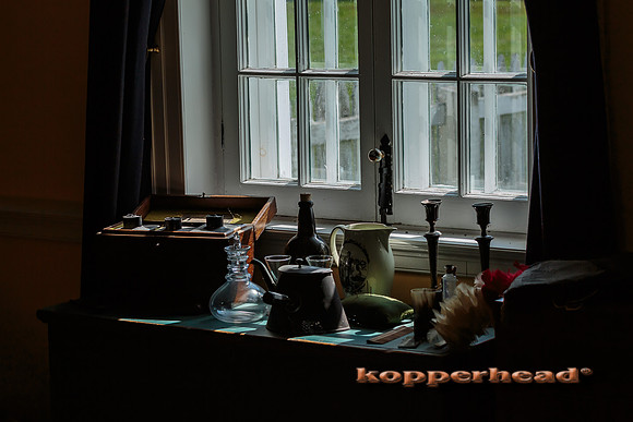 09314 08 2013 Kopperhead