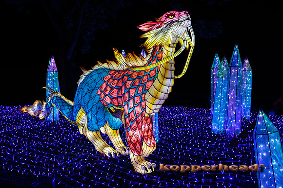 93051 07 2024 Kopperhead