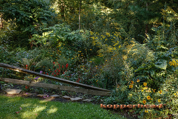 18709 09 2026 Kopperhead