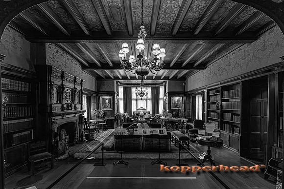 134988 09 2026 Kopperhead-2
