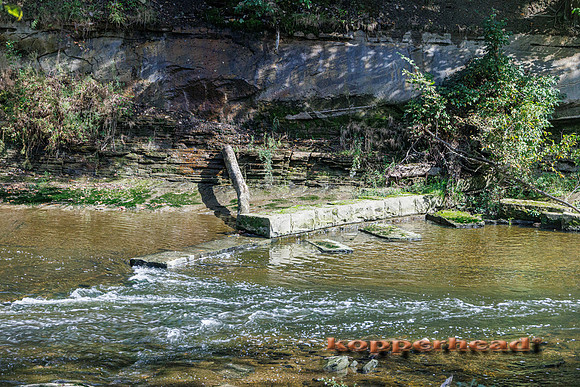 136135 09 2026 Kopperhead