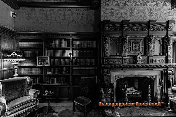 134992 09 2026 Kopperhead-2