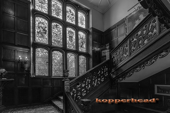 135011 09 2026 Kopperhead-2