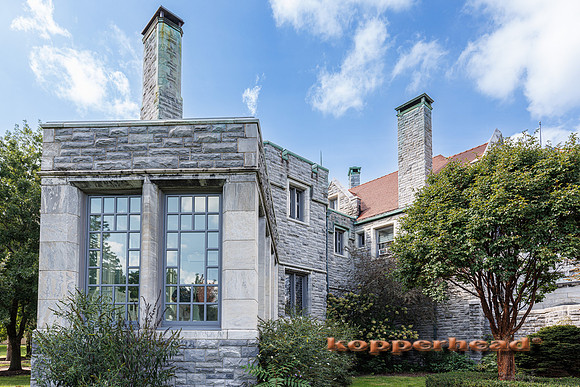135273 09 2026 Kopperhead
