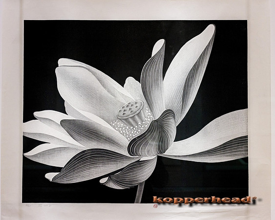 63094tA 05 2023 Kopperhead