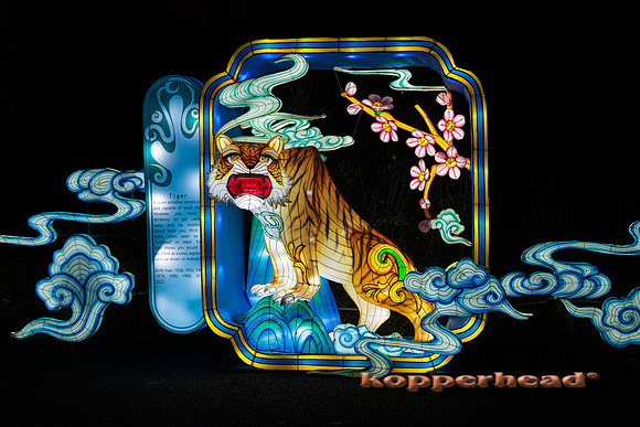 93035 07 2024 Kopperhead