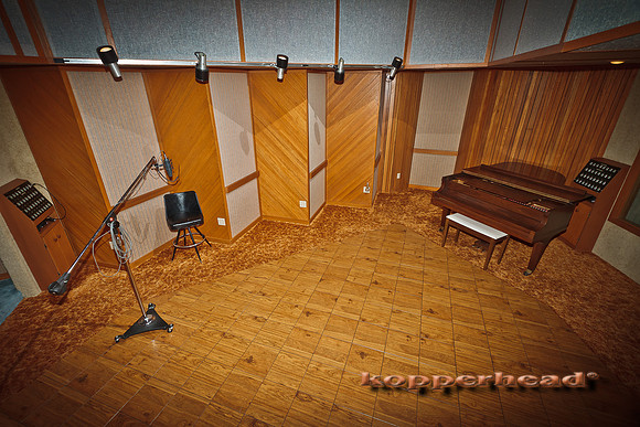 18820 03 2011 Kopperhead